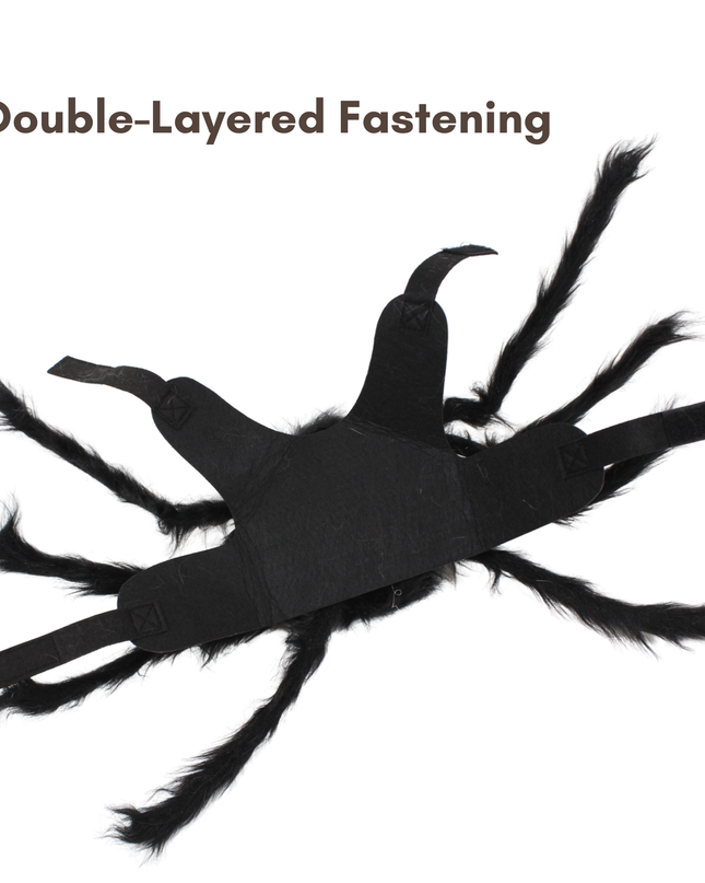 Halloween Spider with Head Scarf Pet Costume