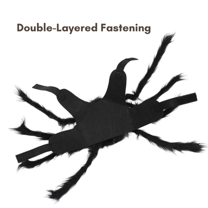 Halloween Spider with Head Scarf Pet Costume