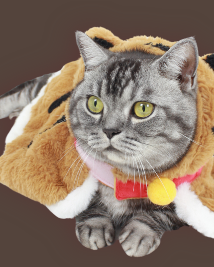 Adorable Soft  Little Tiger Plush Pet Jacket (One-Size)