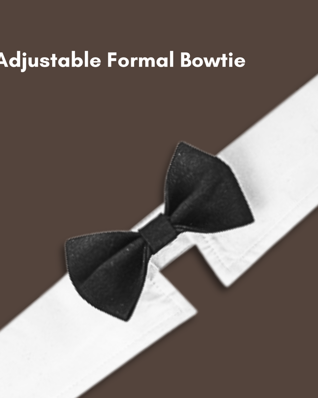 Classic Black Bowtie for Pets
