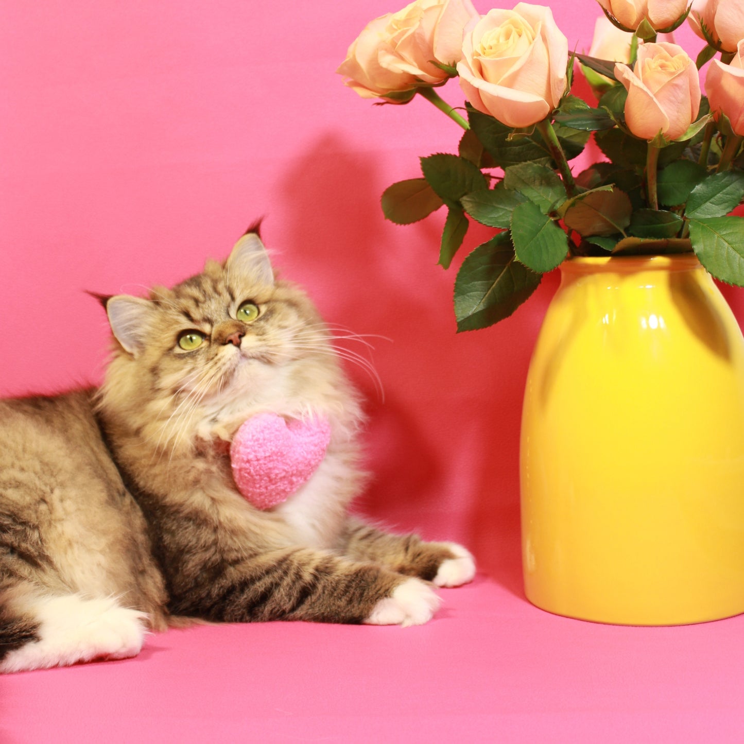 Hot Pink Plush Catnip Heart Toy for Playful Cats