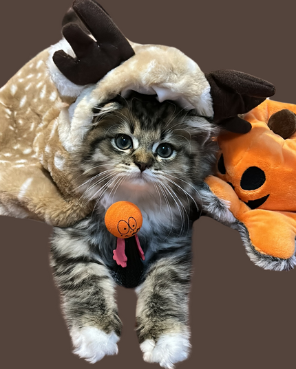 Adorable Reindeer Pet Costume Cloak