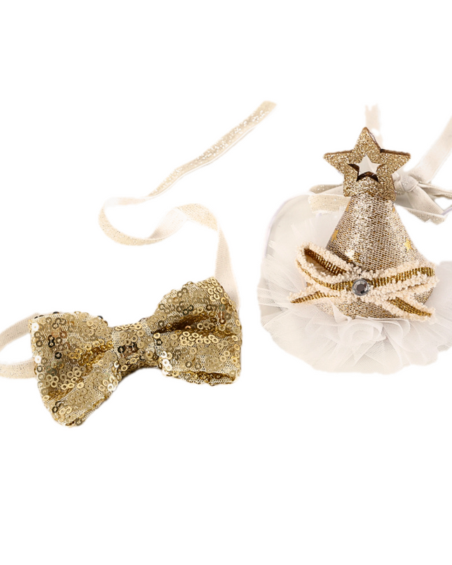 Glamour Sequins Bow Tie & Hat Set for Pets