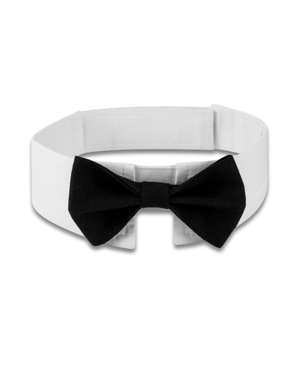 Classic Black Bowtie for Pets