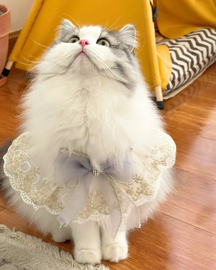 Elegant Pearl & Diamond White Smoke Lace Collar with Gold Trim