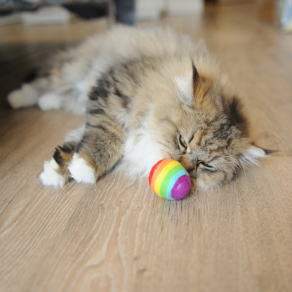 Handmade Wool Pride Ball Cat Toy
