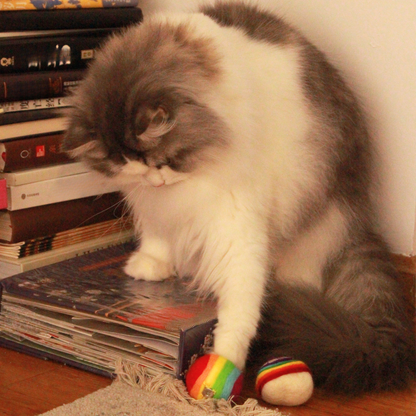 Handmade Wool Pride Ball Cat Toy