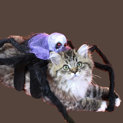 Halloween Spider with Head Scarf Pet Costume