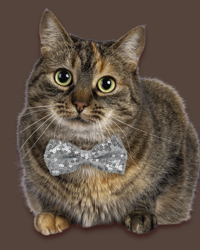 Silver Sequins Bow Tie for Pets