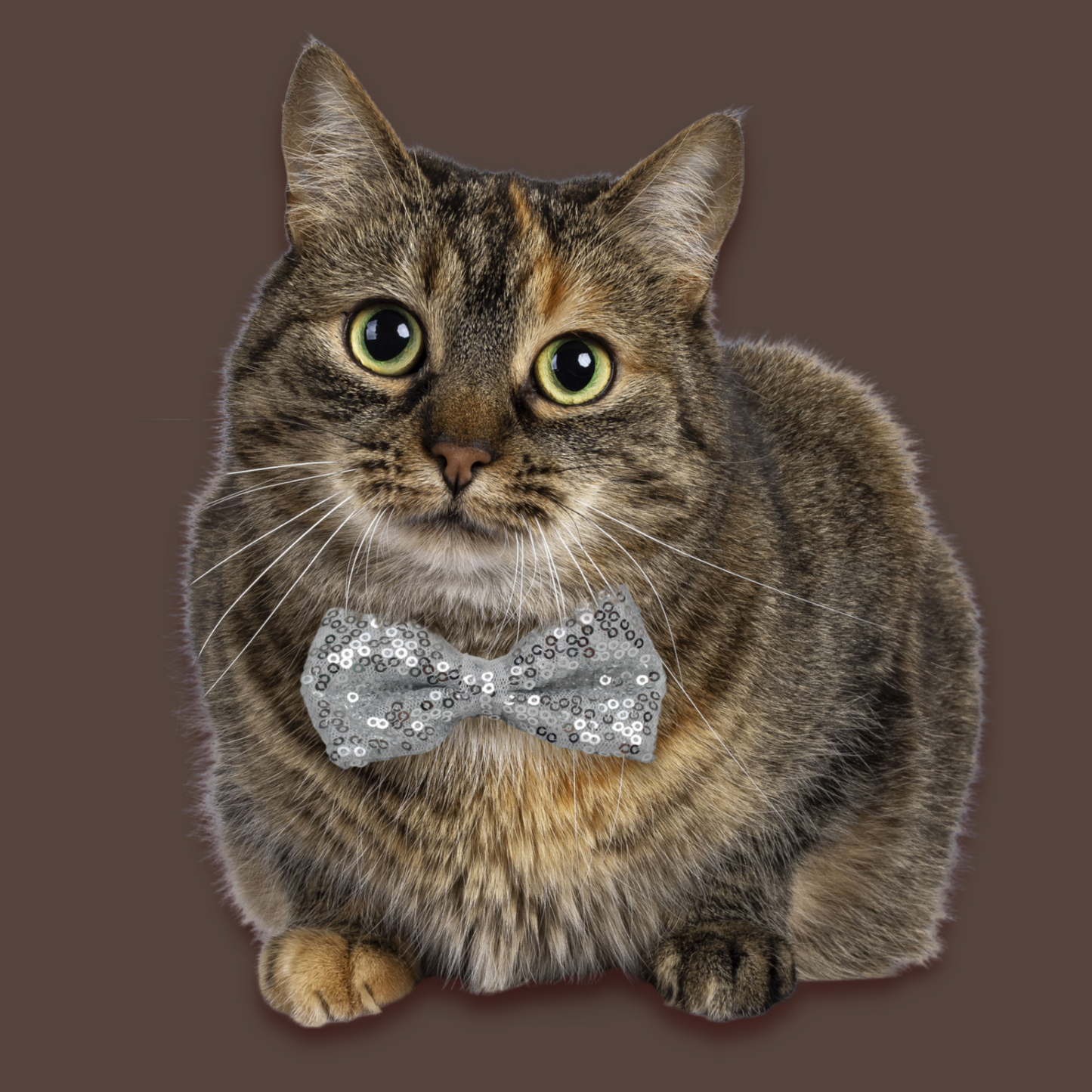 Silver Sequins Bow Tie for Pets
