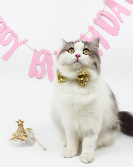 Glamour Sequins Bow Tie & Hat Set for Pets