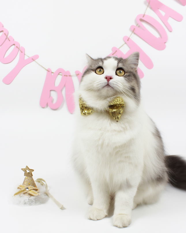 Glamour Sequins Bow Tie & Hat Set for Pets