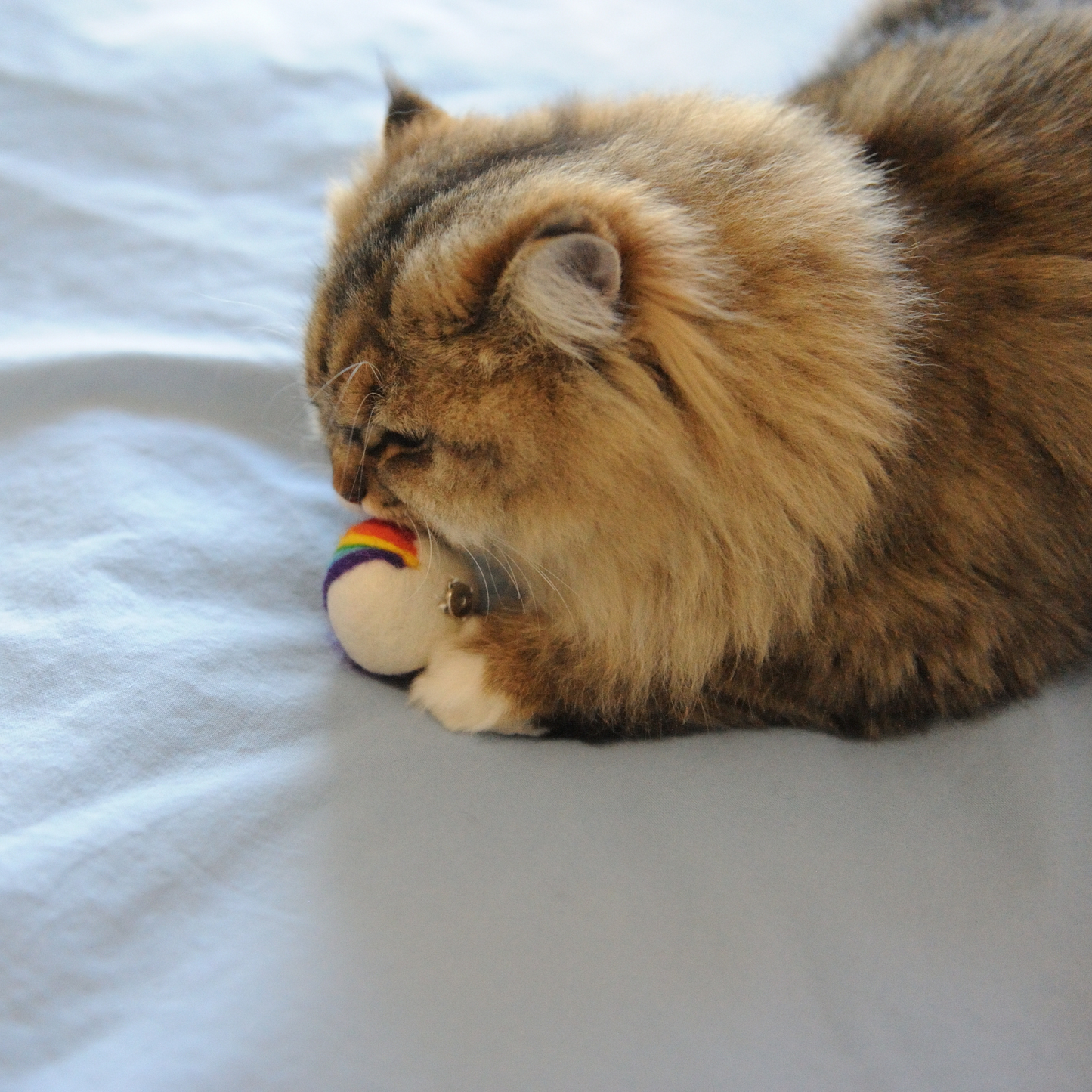 Handmade Wool Rainbow Heart Cat Toy