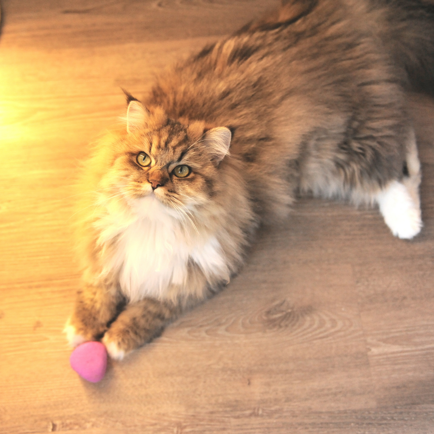 Handmade Wool Pink Triangle Cat Toy