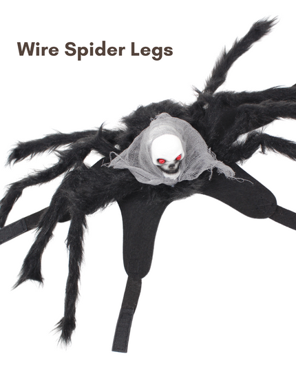 Halloween Spider with Head Scarf Pet Costume