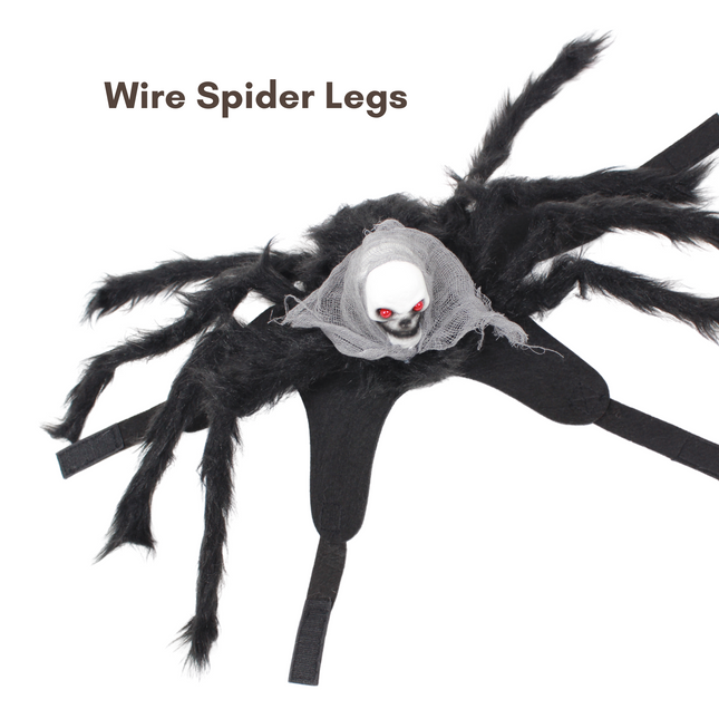 Halloween Spider with Head Scarf Pet Costume