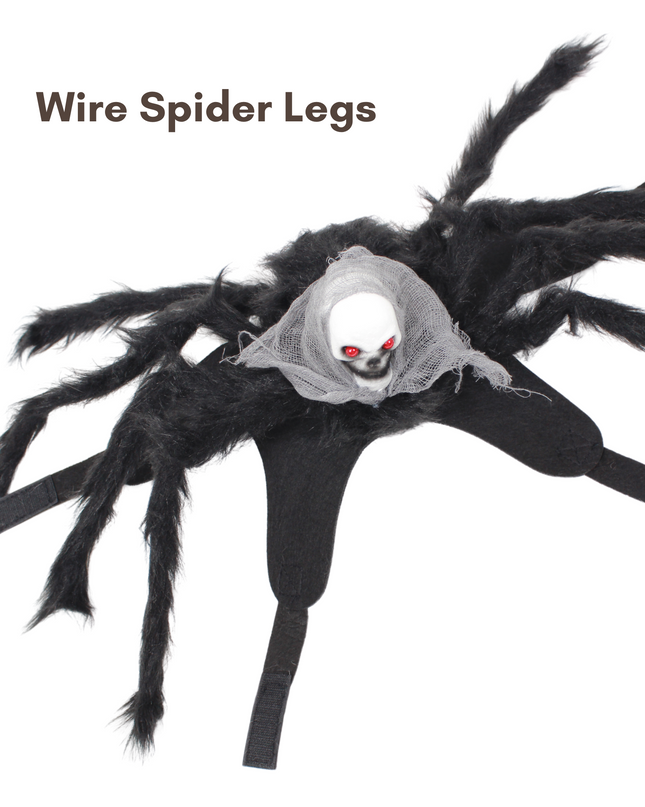 Halloween Spider with Head Scarf Pet Costume
