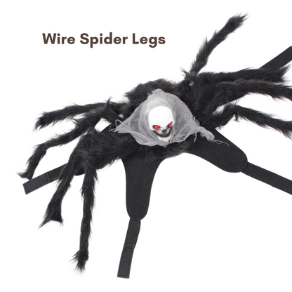 Halloween Spider with Head Scarf Pet Costume