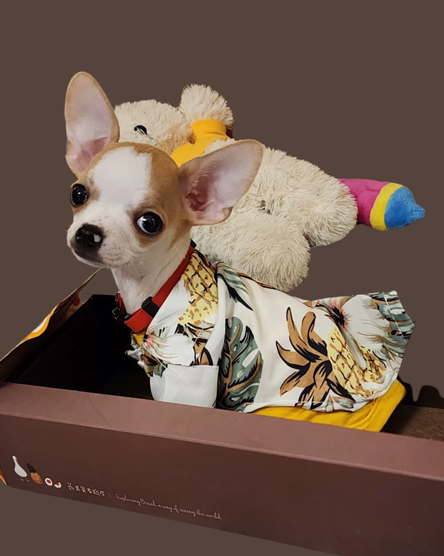 Soft Cotton Hawaii T-Shirt for Cats and Small Dogs