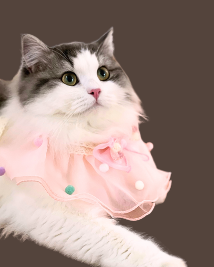 Cherry Blossom Pink Cotton Lace & Tulle Ruffled Collar