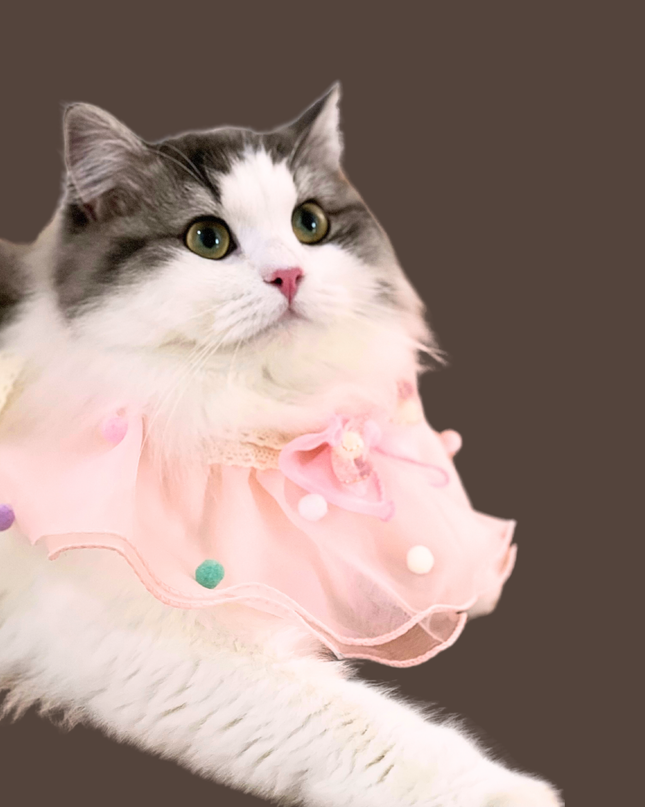 Cherry Blossom Pink Cotton Lace & Tulle Ruffled Collar