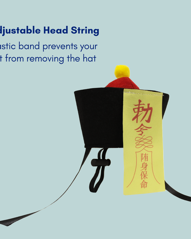 Chinese Zombie Pet Costume