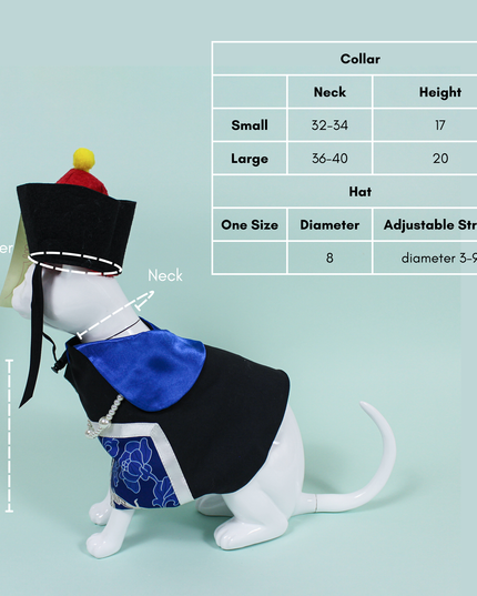 Chinese Zombie Pet Costume