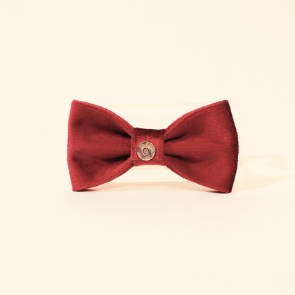 MoriCat Red Bowtie and Collar Set for Cats