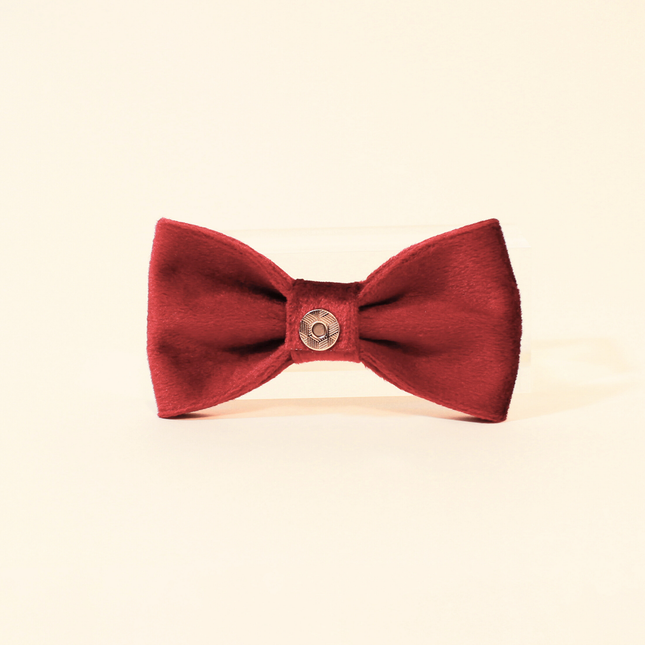 MoriCat Red Bowtie and Collar Set for Cats