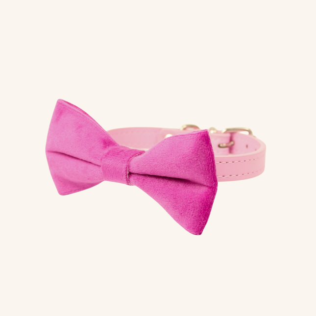 MoriCat Bright Pink Bowtie and Collar Set for Cats