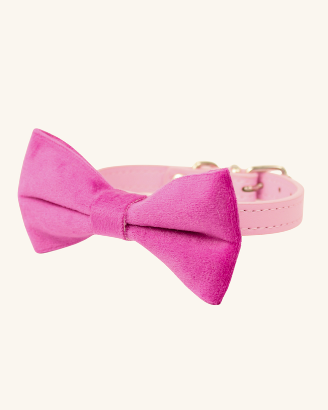 MoriCat Bright Pink Bowtie and Collar Set for Cats