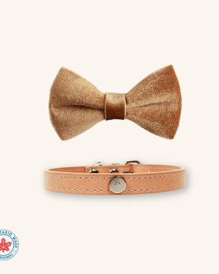 MoriCat Champagne Bowtie and Collar Set for Cats