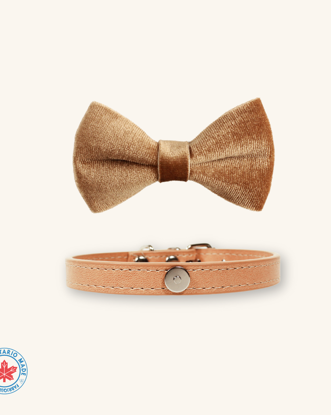 MoriCat Champagne Bowtie and Collar Set for Cats