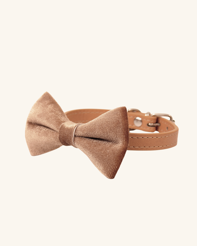 MoriCat Champagne Bowtie and Collar Set for Cats