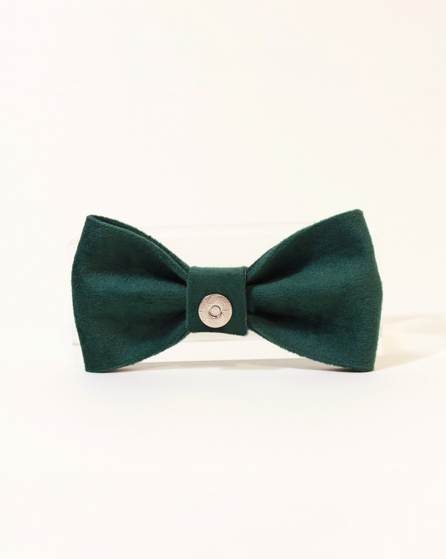 MoriCat Christmas Green Bowtie and Collar Set for Cats
