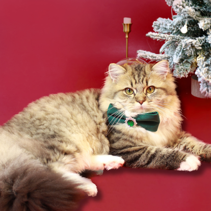 MoriCat Christmas Green Bowtie and Collar Set for Cats