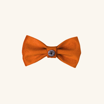 MoriCat Orange Bowtie and Collar Set for Cats