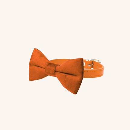 MoriCat Orange Bowtie and Collar Set for Cats