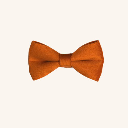 MoriCat Orange Bowtie and Collar Set for Cats