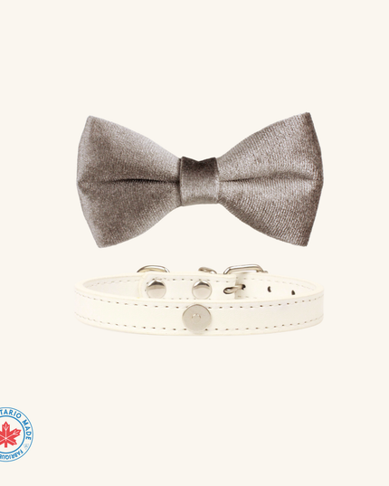 MoriCat Silver Bowtie and Collar Set for Cats