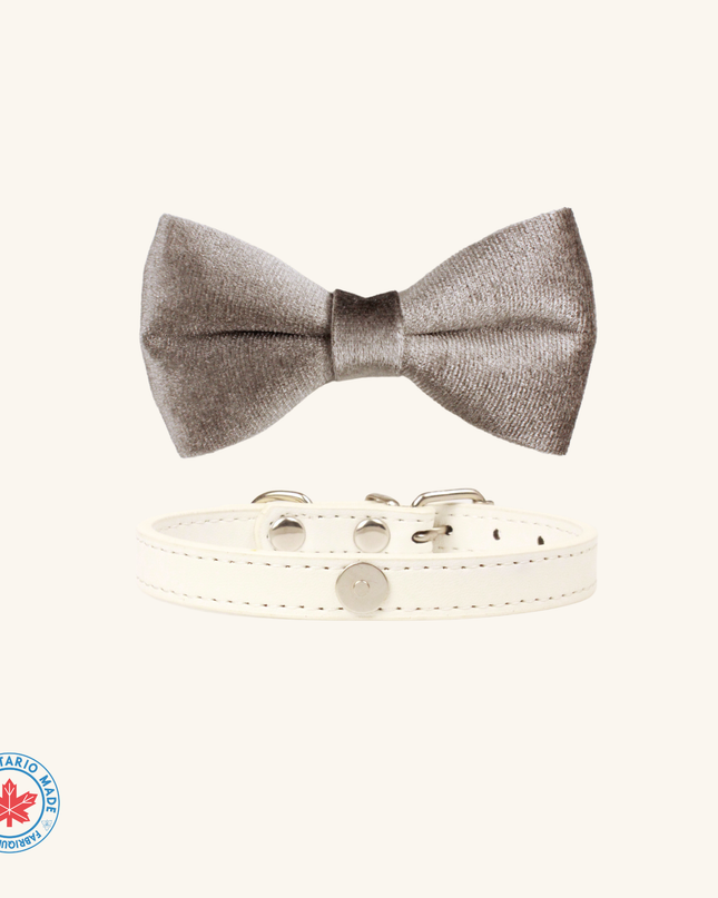 MoriCat Silver Bowtie and Collar Set for Cats