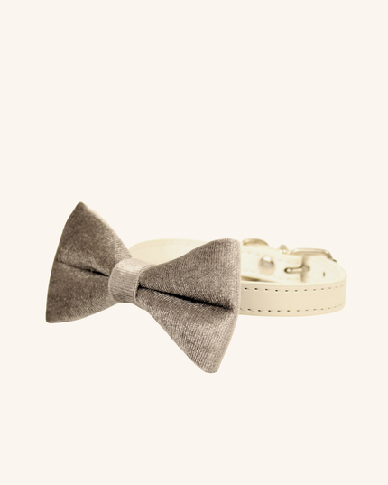 MoriCat Silver Bowtie and Collar Set for Cats