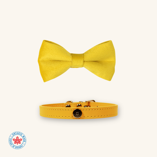 MoriCat Yellow Bowtie and Collar Set for Cats
