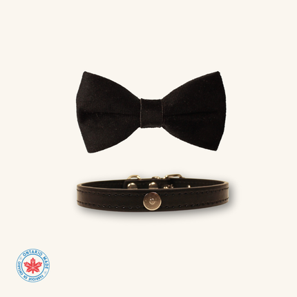 MoriCat Black Bowtie and Collar Set for Cats