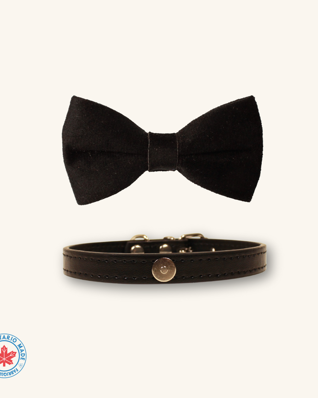 MoriCat Black Bowtie and Collar Set for Cats