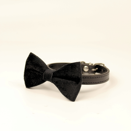 MoriCat Black Bowtie and Collar Set for Cats