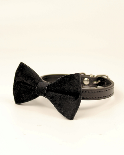 MoriCat Black Bowtie and Collar Set for Cats