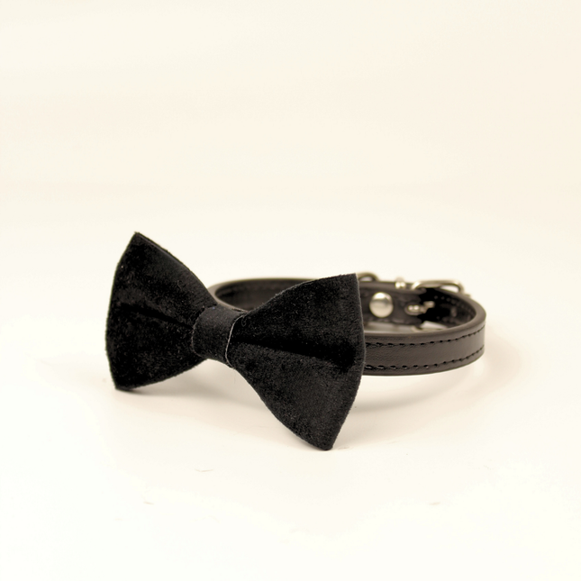 MoriCat Black Bowtie and Collar Set for Cats