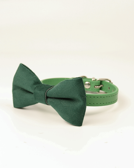 MoriCat Green Bowtie and Collar Set for Cats