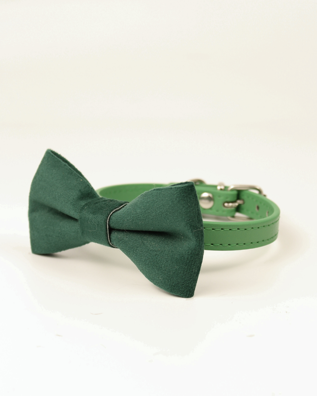 MoriCat Green Bowtie and Collar Set for Cats